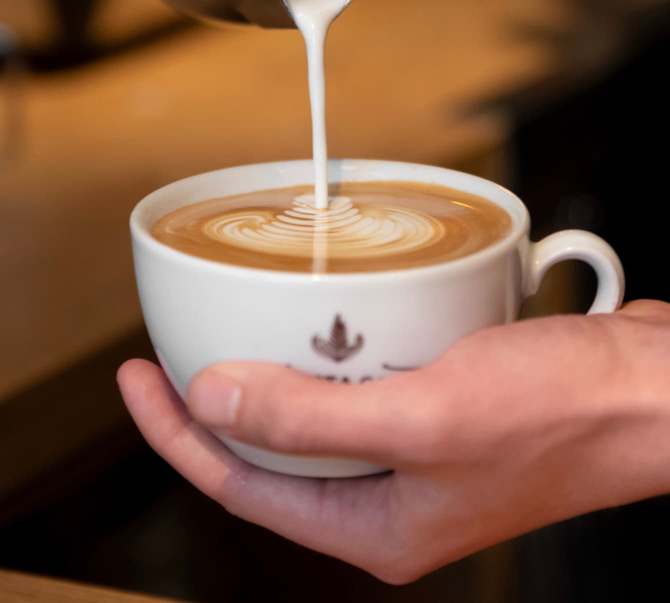 Barista CafΓ© Haarlem