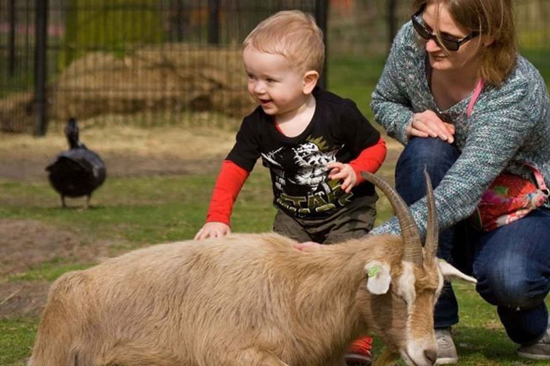 Kinderboerderij De Houthoeve